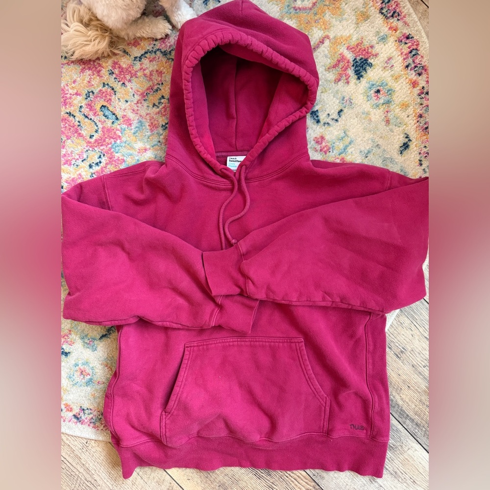 Aritzia Hoodie